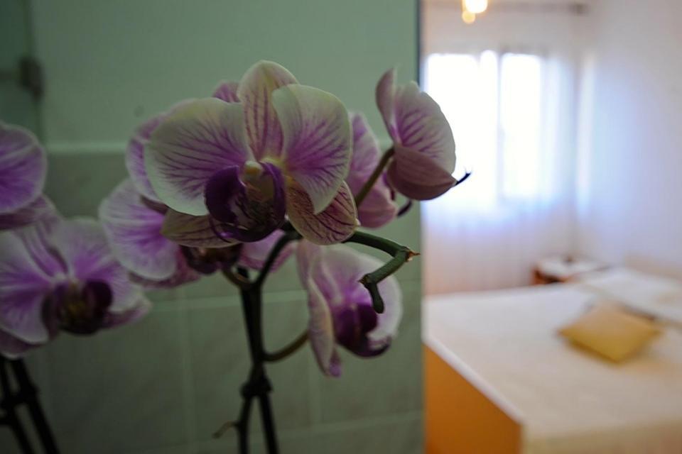 Apartments Marija Bibinje Camera foto